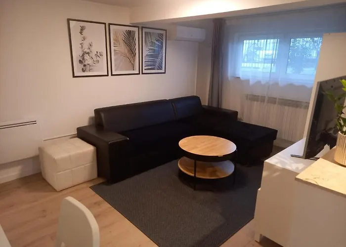 Apartment Lenchy 2